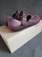 Loints damesschoen in de kleur paars, maat 39, Overige kleuren, Loints, Ophalen of Verzenden, Gedragen