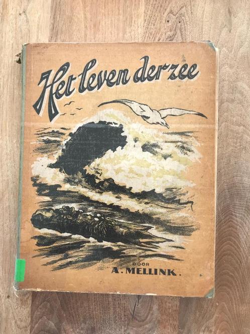 Boek albumplaatjes het leven der zee, Boeken, Prentenboeken en Plaatjesalbums, Gelezen, Plaatjesalbum, Ophalen of Verzenden
