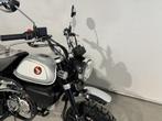 Honda MONKEY (bj 2024), Motoren, Naked bike, Bedrijf, 11 kW of minder