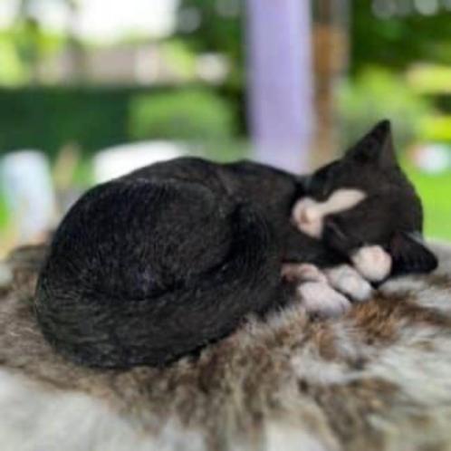 Beeld Slapende katten, diverse kleuren, Verzamelen, Beelden en Beeldjes, Nieuw, Dier, Ophalen of Verzenden