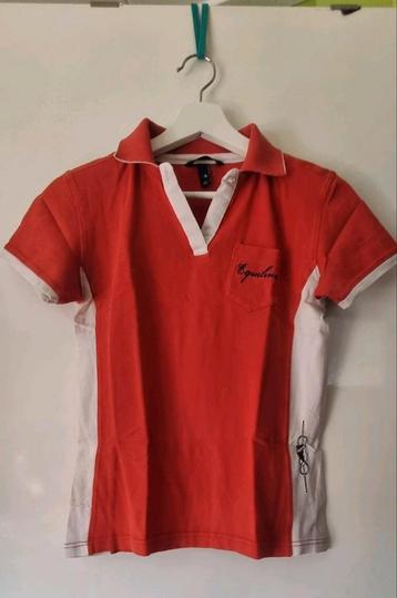 Equiline polo beschikbaar voor biedingen
