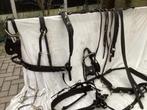 Tweespan mentuig    Cob, Ophalen of Verzenden, Gebruikt, Dressuur