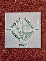 Vintage Tegel Gregor Mendel College HAVO 1884-1984, Antiek en Kunst, Ophalen