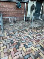 Honden ren, Ophalen, Zo goed als nieuw