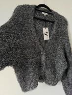Nieuw Shoeby fluffy vest zilver M/L, Kleding | Dames, Truien en Vesten, Maat 38/40 (M), Overige kleuren, Verzenden, Nieuw