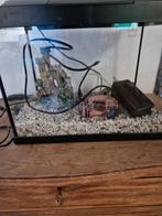 1 aquarium met 2 vissenkommen, Dieren en Toebehoren, Vissen | Aquaria en Toebehoren, Ophalen, Zo goed als nieuw, Leeg aquarium