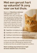Katten oppas, Ophalen of Verzenden, Katten