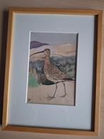 Twee originele aquarellen uit 'Zien is kennen'., Ophalen of Verzenden, Zo goed als nieuw, Vogels