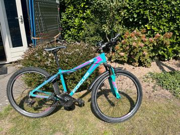 Focus Rookie Raven 26 inch MTB beschikbaar voor biedingen
