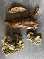 Moonrocks en Kienhout., Ophalen of Verzenden, Plant(en), Steen of Hout
