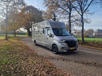 Renault Master dubbele cabine 5 zitplaatsen MTM paardenwagen beschikbaar voor biedingen
