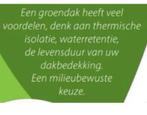 Sedum kruiden matten pakket voor een bio groen dak, Ophalen of Verzenden, Vaste plant, Overige soorten, Volle zon