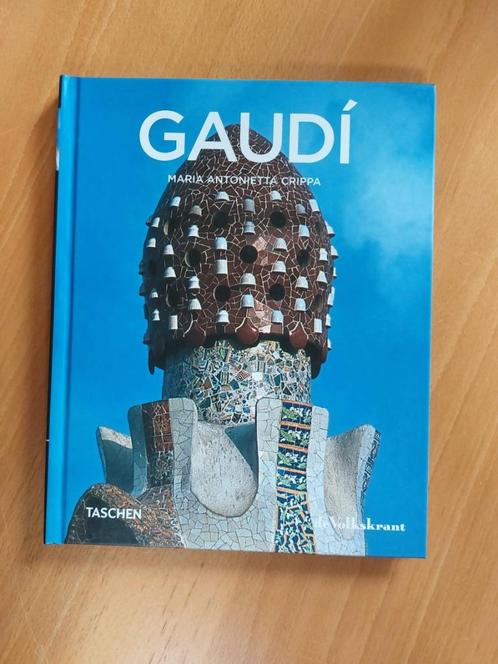 Antoni Gaudí / Van natuur naar architectuur - Hardcover, Boeken, Kunst en Cultuur | Architectuur, Nieuw, Architecten, Ophalen of Verzenden