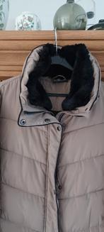 Ecru/taupe winterjas, bontkraag kan er af. Maat XXL., Ophalen of Verzenden, Zo goed als nieuw, Maat 46/48 (XL) of groter, Beige