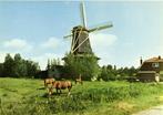 Arkel, Molen Jan van Arkel - paarden - ongelopen, Utrecht, Ongelopen, Ophalen of Verzenden