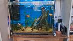 Superfish home 80, Dieren en Toebehoren, Ophalen, Gebruikt, Verlichting of Verwarming