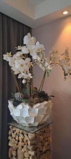Orchideeën in schelpenvaas, Ophalen, Zo goed als nieuw