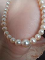 Prachtige echte parel ketting te koop met gouden 14k slot!, Ophalen of Verzenden, Zo goed als nieuw, Goud, Goud