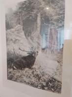 Wolters G., Verzenden