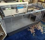 Caviakooi.    Almelo, Dieren en Toebehoren, Ophalen, Kooi, 60 tot 90 cm, Cavia