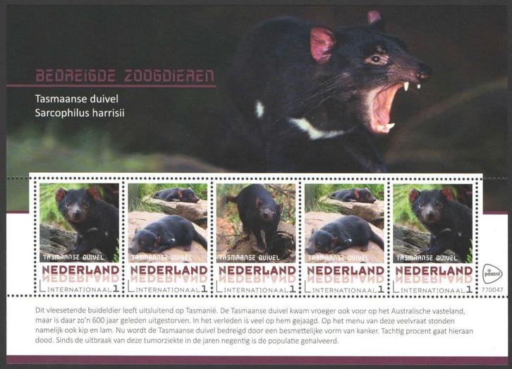 Postzegels Bedreigde zoogdieren: Tasmaanse duivel, Postzegels en Munten, Postzegels | Nederland, Postfris, Na 1940, Ophalen of Verzenden