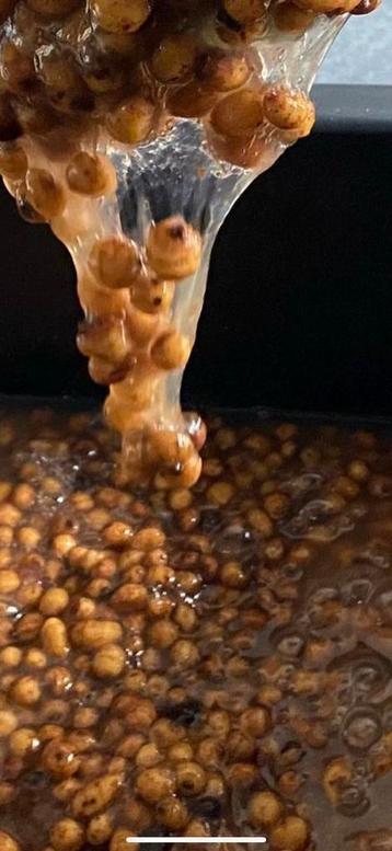 Visklare tijgernoten 5 kg 12,50 beschikbaar voor biedingen