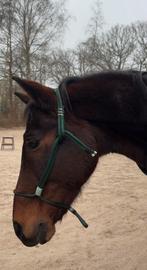 2 in 1 neckrope, Ophalen of Verzenden, Overige soorten