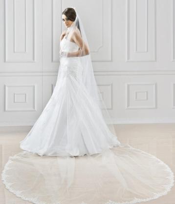 Nieuwe lange licht ivoren bewerkte sluier met kant S129 beschikbaar voor biedingen