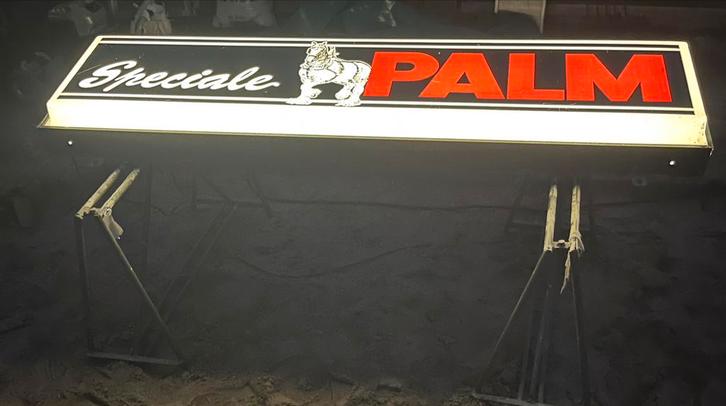 Mooie lichtbak van palm, Verzamelen, Merken en Reclamevoorwerpen, Zo goed als nieuw, Lichtbak of (neon) lamp, Ophalen