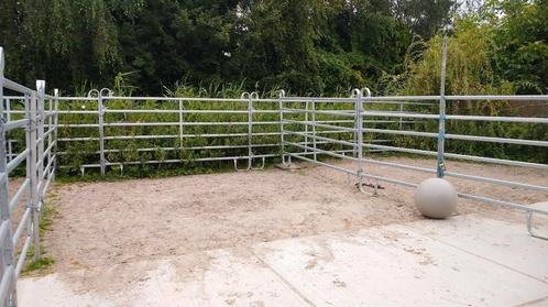 Gezocht: Scholier voor stalwerkzaamheden, Dieren en Toebehoren, Paarden en Pony's | Verzorgingsproducten, Nieuw, Ophalen