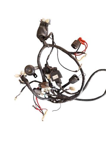 Kabelboom ecu spanningsregelaar origineel La Souris Sourini beschikbaar voor biedingen