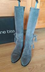 Suède laarzen maat 39 Caroline Biss, Kleding | Dames, Schoenen, Hoge laarzen, Ophalen of Verzenden, Grijs, Gedragen