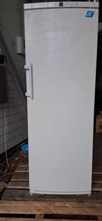 Liebherr primium vriezer 8 laden/Liebherr primium vriezer, Witgoed en Apparatuur, Vriezers en Diepvrieskisten, Ophalen, Gebruikt