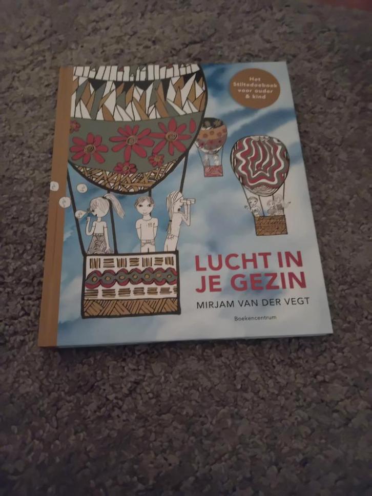 Mirjam van der Vegt - Lucht in je gezin, Boeken, Godsdienst en Theologie, Zo goed als nieuw, Ophalen of Verzenden