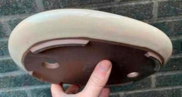 Bonsai schaal crème geglazuurd Japans aardewerk 25,9x19,6x3 beschikbaar voor biedingen