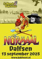 Concert normaal, Tickets en Kaartjes, Concerten | Nederlandstalig, Twee personen