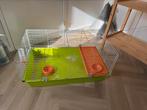 Cavia kooi (+  starterspakket), Dieren en Toebehoren, Kooi, Gebruikt, Hamster, 75 tot 110 cm
