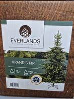 Everlands Grandis Fir Kunstkerstboom, Ophalen, Nieuw