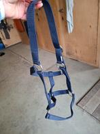 Nieuw halster, Dieren en Toebehoren, Ophalen of Verzenden, Nieuw, Overige soorten