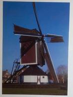 Oploo  - Land van Cuijk ( N.Br.) Molen De Korenbloem, Verzenden, 1980 tot heden, Ongelopen, Noord-Brabant