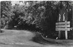 Nieuw milligen rabbit hill oude gelopen ansichtkaart ( 8255, Ophalen of Verzenden, Voor 1920, Gelopen