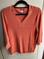 Pullover (Maat 42), Ophalen of Verzenden, Zo goed als nieuw, Maat 42/44 (L)