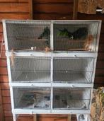 Handgemaakte Broedkooien, Dieren en Toebehoren, Ophalen, Zo goed als nieuw, Hout, Broedkooi of Kweekkooi