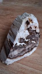 Versteend Hout - Oregon VS - 874 gram, Ophalen of Verzenden, Fossiel