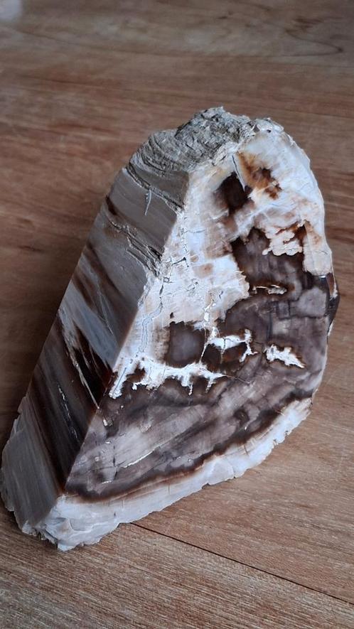 Versteend Hout - Oregon VS - 874 gram, Verzamelen, Mineralen en Fossielen, Fossiel, Ophalen of Verzenden