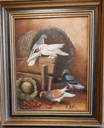 Duiventil,4 duiven,met groene kool,duiven bij mand en hek., Antiek en Kunst, Ophalen of Verzenden