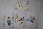 Postset 3 vogels met kaarten MARKERWADDEN Flevoland postfris, Ophalen of Verzenden, Postfris