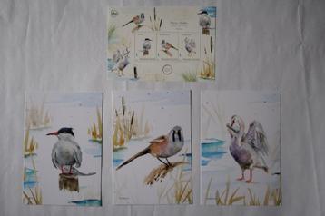 Postset 3 vogels met kaarten MARKERWADDEN Flevoland postfris beschikbaar voor biedingen