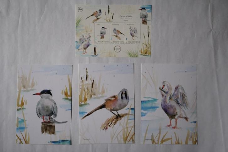 Postset 3 vogels met kaarten MARKERWADDEN Flevoland postfris, Postzegels en Munten, Postzegels | Nederland, Postfris, Ophalen of Verzenden
