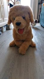 furreal friends hond biscuit, Ophalen, Gebruikt, Hond